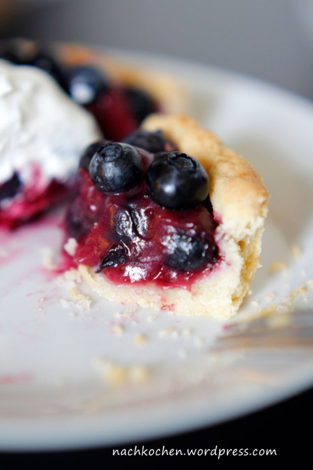 blaubeerpie3