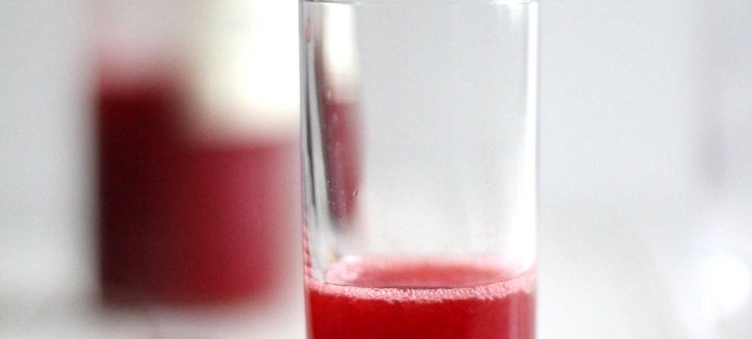 Erdbeer Himbeer Likoer