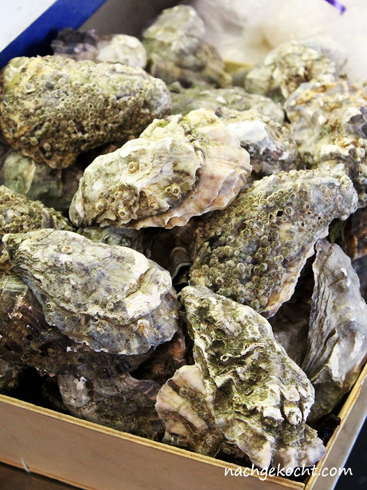 Kleinmarkt Halle Austern