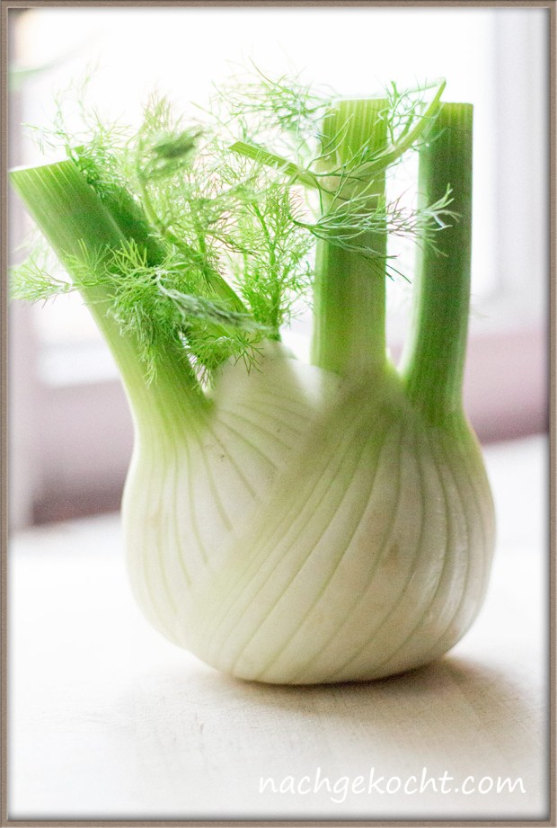 Frische Fenchel Knolle