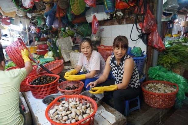 Muscheln Marktstand Zwei vietnamesische Frauen beim Muscheln preparieren